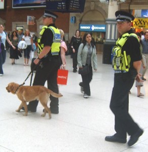 Sniffer dogs at London Airport