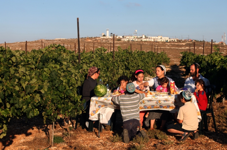 The Lavi family of Har Bracha operates a vineyard. twice a year, American volunteers go their to work