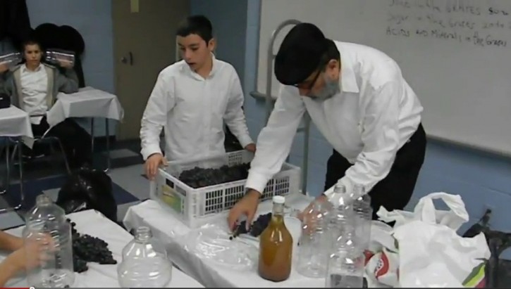 The eighth grade boys of Yeshiva Oholei Torah in Crown Heights were treated to a six month long project as winemaker Joseph Zakon