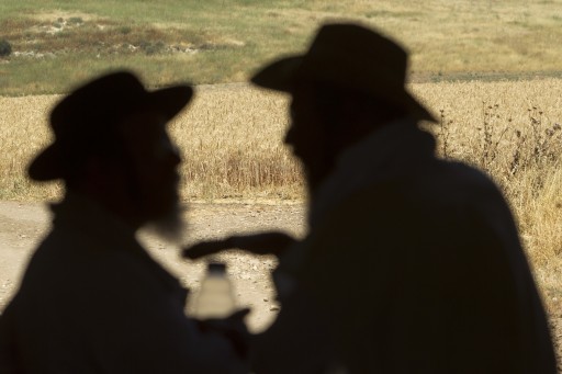 Ultra-Orthodox Jewish men in silhouette as they talk about harvesting wheat in the shade near a wheat field outside Sha'alvim in central Israel, 17 May 2012, after they cut the wheat with hand sickles. The wheat is then processed, all by hand-made Kosher means, to bake unleavened Matzah, to be eaten during the next high holiday of Passover, in April 2013. The wheat is harvested just before the holiday of Shavuot, which comes seven weeks after Passover, and marks when God gave the Torah to the Israelites at Mount Sinai.  EPA/JIM HOLLANDER