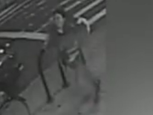 Image grab from surveillance video: Police are searching for a suspect who allegedly pushed a man to his his death on the 7 train tracks in Sunnyside on Friday, Dec. 28, 2012.