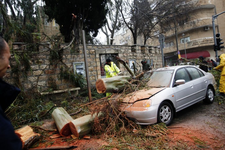 View of a car damaged by a tree which fell due to heavy storm in Jerusalem. January 07, 2013. Photo by Miriam Alster/Flash90