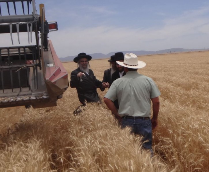  The Rebbe being greeted by farmer Tim Dunn after participating in harvesting the first row in the combine machine.