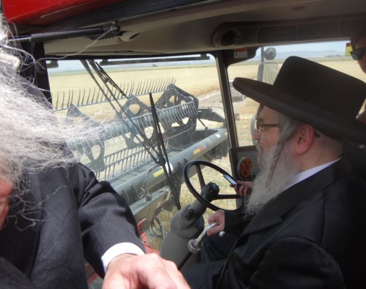 Satmar Rebbe looking out on wheat field about to be harvested from the drivers seat of the massive conbine harvestor