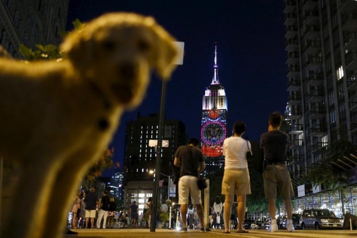 A dog passes by as people watch images being projected onto the Empire State Building, as part of an endangered species projection to raise awareness, in New York August 1, 2015. REUTERS/Eduardo Munoz 
