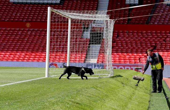 A police sniffer dog on the pitch at Old Trafford stadium after today's final match of the season between Manchester United and AFC Bournemouth was abandoned due to a suspect package being found inside the stadium. Sunday May 15, 2016. (Martin Rickett/PA via AP) 