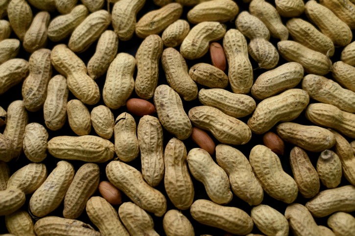FILE - This Feb. 20, 2015 file photo, photo shows an arrangement of peanuts in New York. Two new studies bolster evidence that feeding babies peanuts or other allergy-inducing foods is more likely to protect them than to cause problems. One study, a follow-up to landmark research published last year, suggests that the early prevention strategy leads to persistent, long-lasting results in children at risk for food allergies. It found that allergy protection lasted at least through age 5 and didn't wane even when kids stopped eating peanut-containing foods for a year. (AP Photo/Patrick Sison, File)